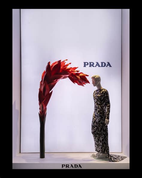 Prada's Fall 2023 Collection Featured in Bergdorf Goodman 